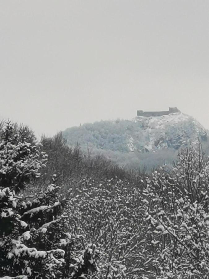 Au Pays D'Olmes Lavelanet Exterior foto